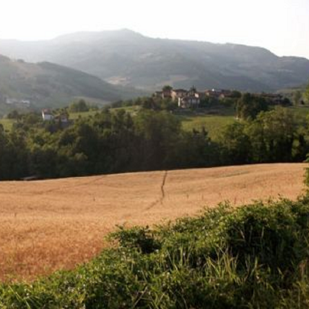 Poggio dIncanto