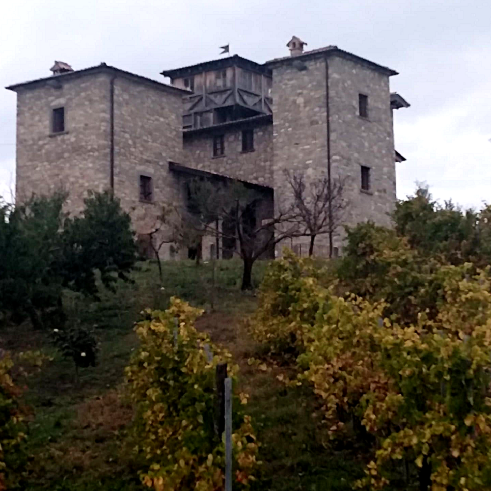 La Spessa di PAdri