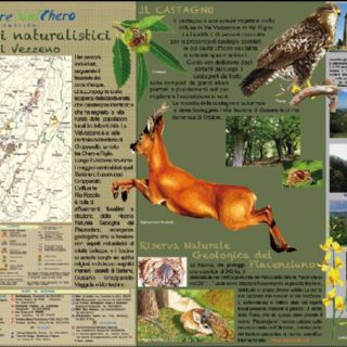 Itinerari naturalistici in Val Vezzeno