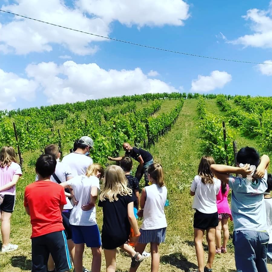 Minifestival "La Natura che Cura"