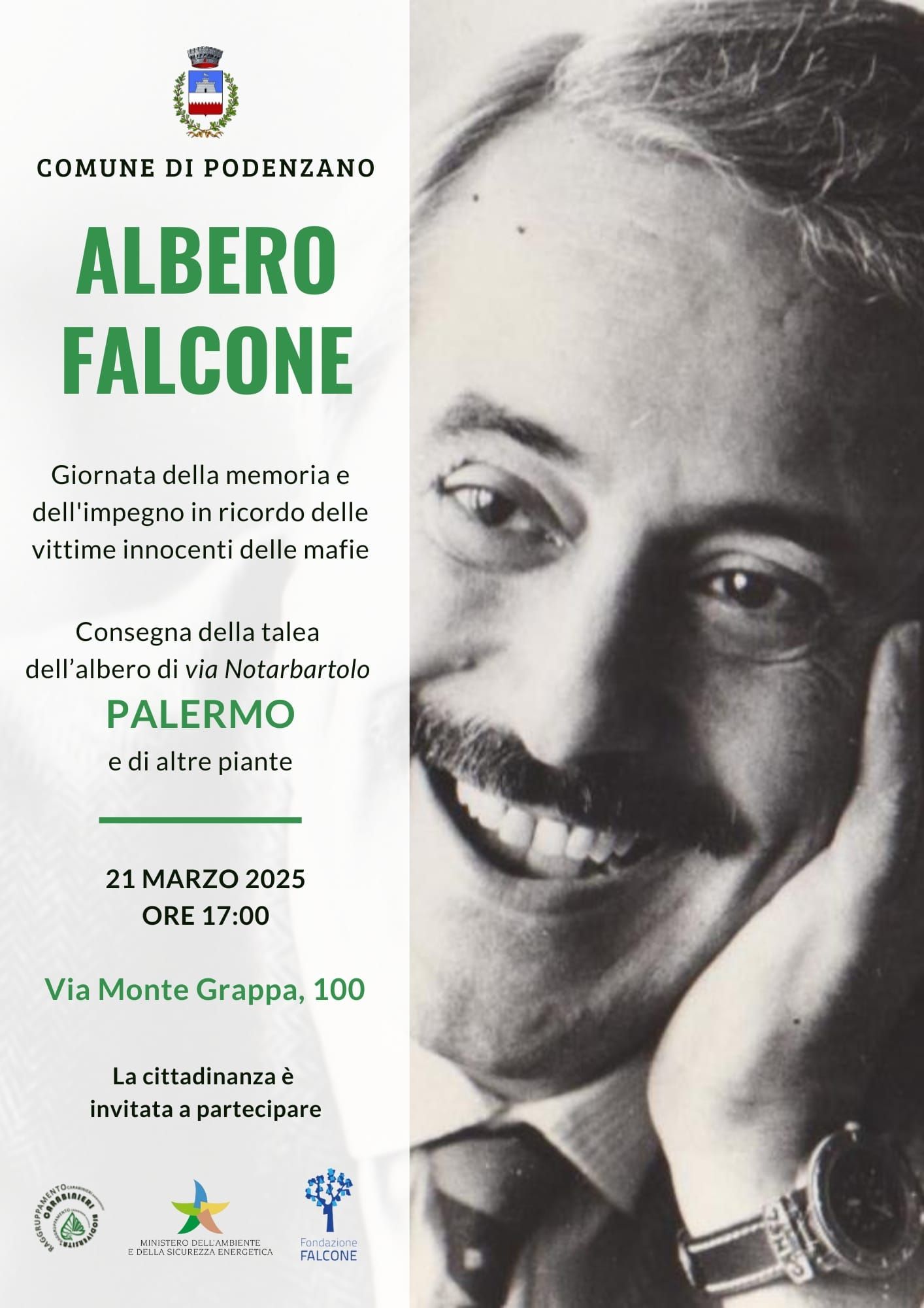 Albero Falcone