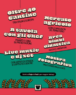 Vinin fest