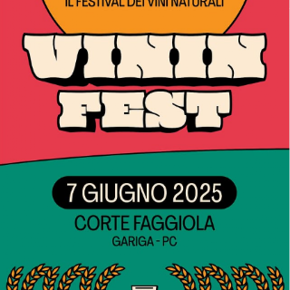 Vinin fest