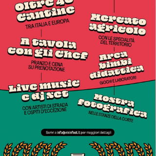 Vinin fest