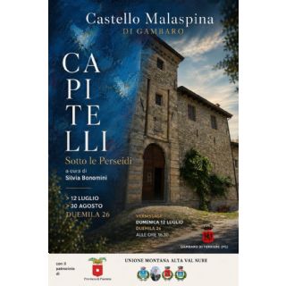 Sotto le Perseidi al Castello
