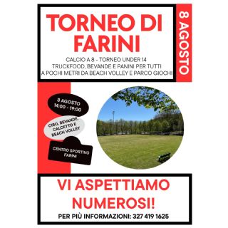 Torneo di calcio
