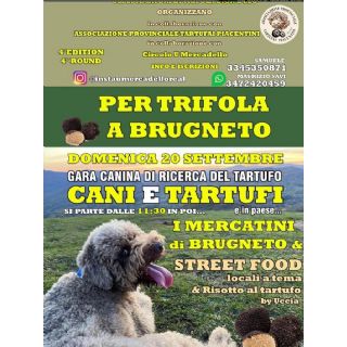 PER TRIFOLA A BRUGNETO