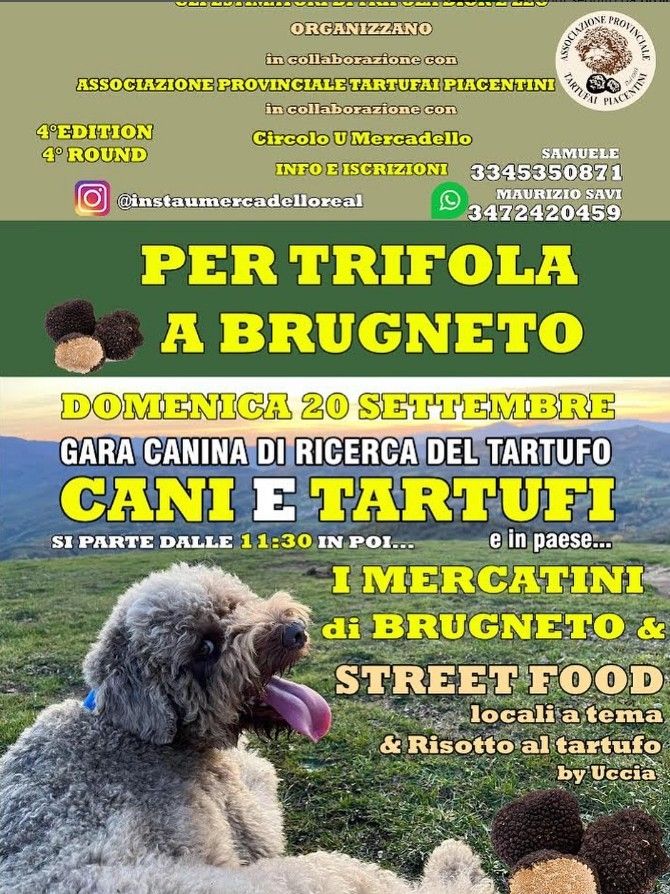 PER TRIFOLA A BRUGNETO
