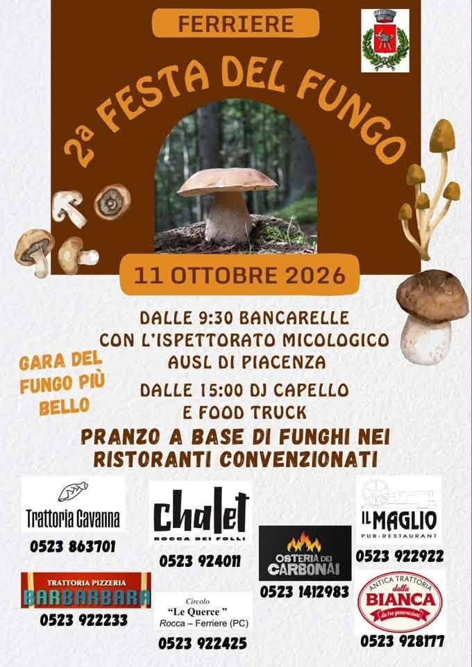 FESTA DEL FUNGO